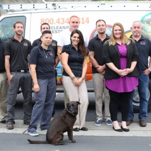 Photo of Orange Restoration - San Diego