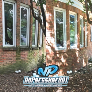 Photo of No Pressure 901