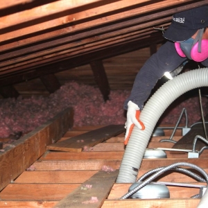 Photo of Green Attic