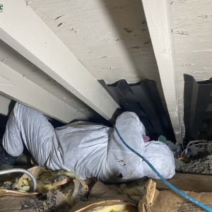 Photo of Green Attic