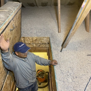 Photo of Green Attic