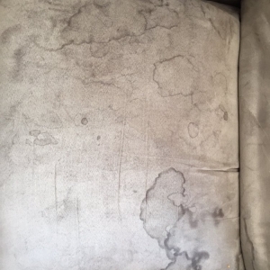 Photo of Oxymagic Carpet and Upholstery Cleaning