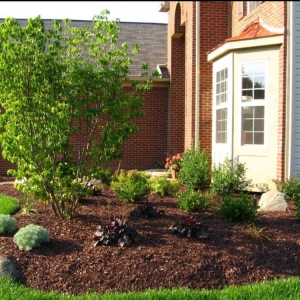 Photo of Stamboulellis Landscaping
