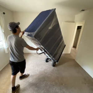 Photo of Sunshine Moving Services