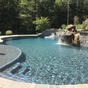 Photo of DMV Pool Service