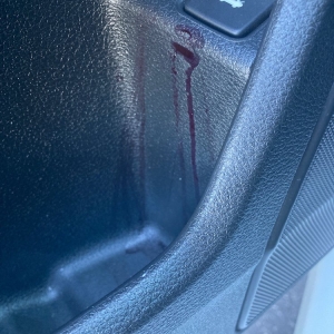 Photo of Country Club Auto Spa