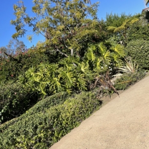 Photo of Green Earth landscape