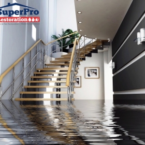 Photo of SuperPro Restoration