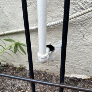 Photo of Option One Plumbing