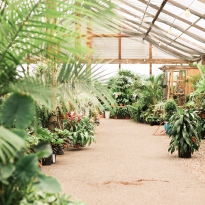 Phoenix Whitfill Nursery