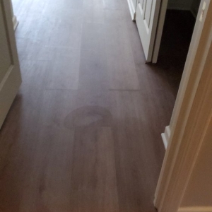 Photo of Absolute Floor Designs