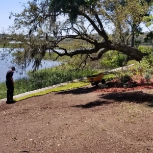 Photo of KraussCare Landscaping