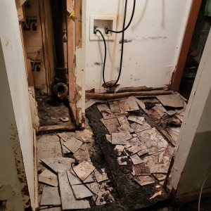 Englewood Knee Deep Water & Mold Removal