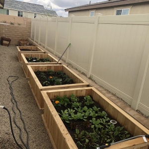 Photo of Custom Raised Gardens