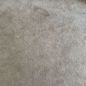Photo of Diamond Bright Carpet Cleaning Services