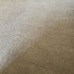 Photo of Diamond Bright Carpet Cleaning Services