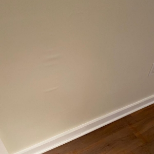 Photo of Water Damage DMV