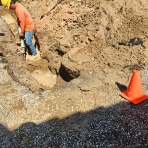 Oceanside Dutch Drain