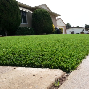 Photo of A & F Artificial Grass