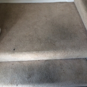 Photo of J Magic Carpet Care