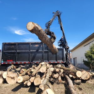 Photo of Perfect Landscape Tree & Services