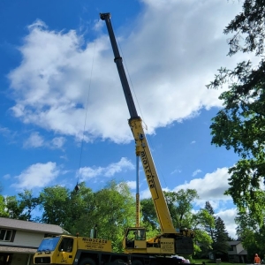 Burnsville Perfect Landscape Tree & Services