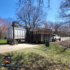 Photo of Perfect Landscape Tree & Services