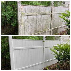 Jacksonville Duval Pressure Washing
