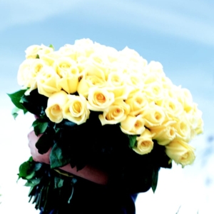 Photo of Au Nom de la Rose