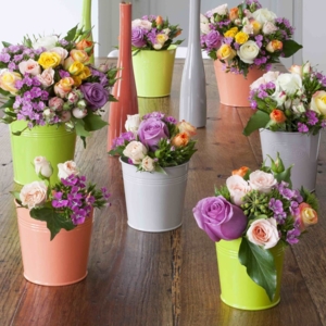 Photo of Au Nom de la Rose