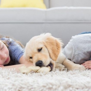 Photo of Broward County Carpet Cleaning
