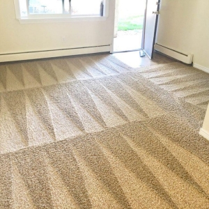 Photo of Broward County Carpet Cleaning