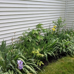 Photo of E & L Lawn Care