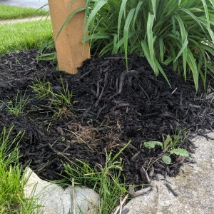 Photo of E & L Lawn Care