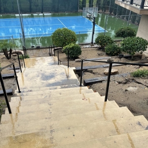 Photo of A's Arbor Care