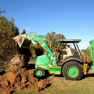 Photo of Premier Oaks Landscape Management