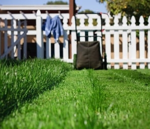 Photo of Premier Oaks Landscape Management