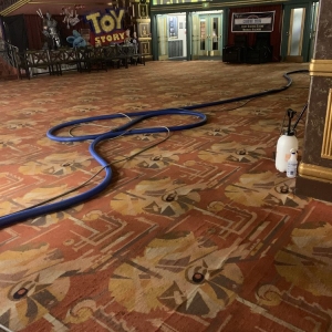 Photo of Murcia's Carpet Cleaning