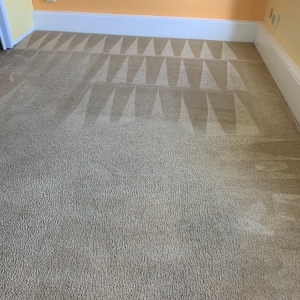 Photo of Murcia's Carpet Cleaning