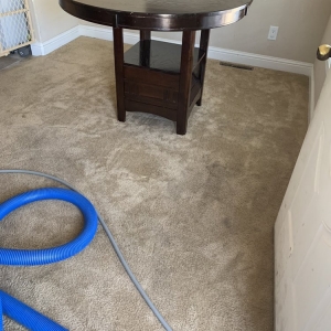 Photo of Murcia's Carpet Cleaning