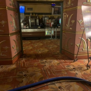 Photo of Murcia's Carpet Cleaning