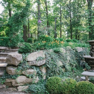 Photo of Rosehill Gardens