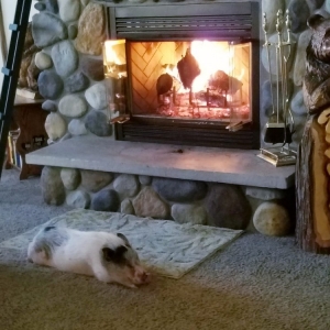 Photo of Rock River Chimney & Fireplace