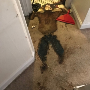 Photo of Southen California Crime Scene & Biohazard Clean Up