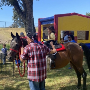 Photo of My Little Carnival