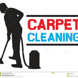 Photo of Big Bird Carpet Cleaning