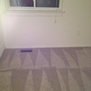 Photo of Big Bird Carpet Cleaning