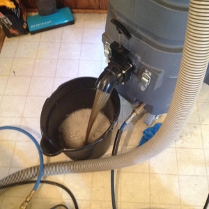 Photo of Big Bird Carpet Cleaning