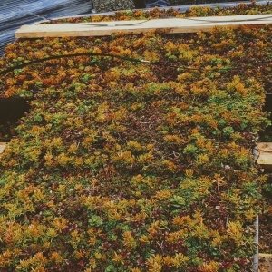 Photo of Element Smart Roofing