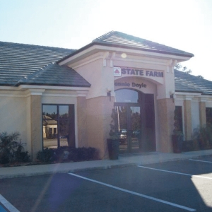 Photo of Connie Doyle - State Farm Insurance Agent